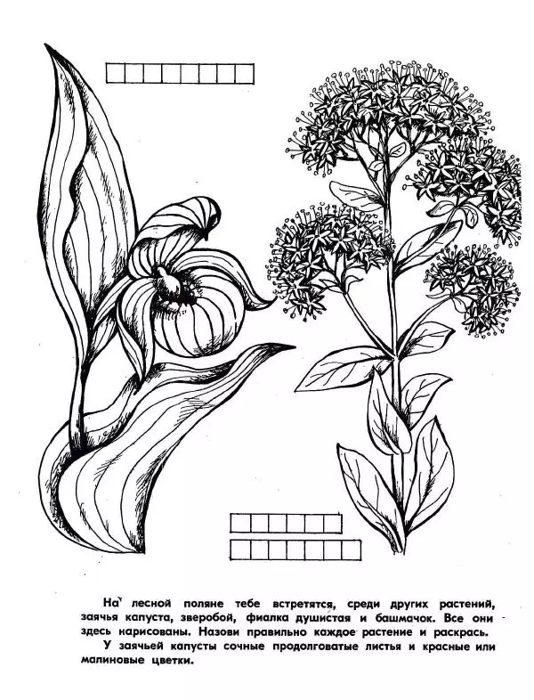 Борис Александров - Где цветёт башмачок? - Страница № 4