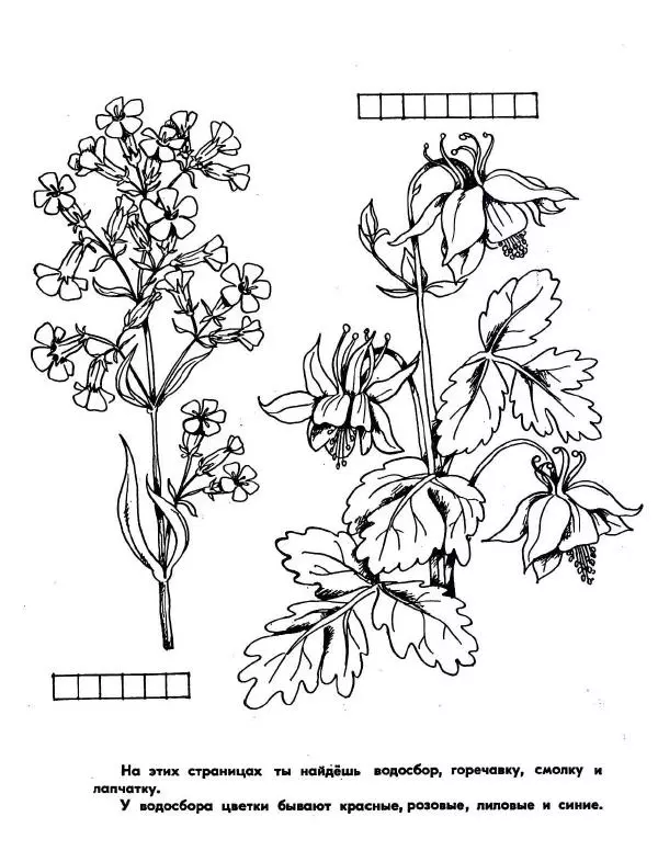 Борис Александров - Где цветёт башмачок? - Страница № 6