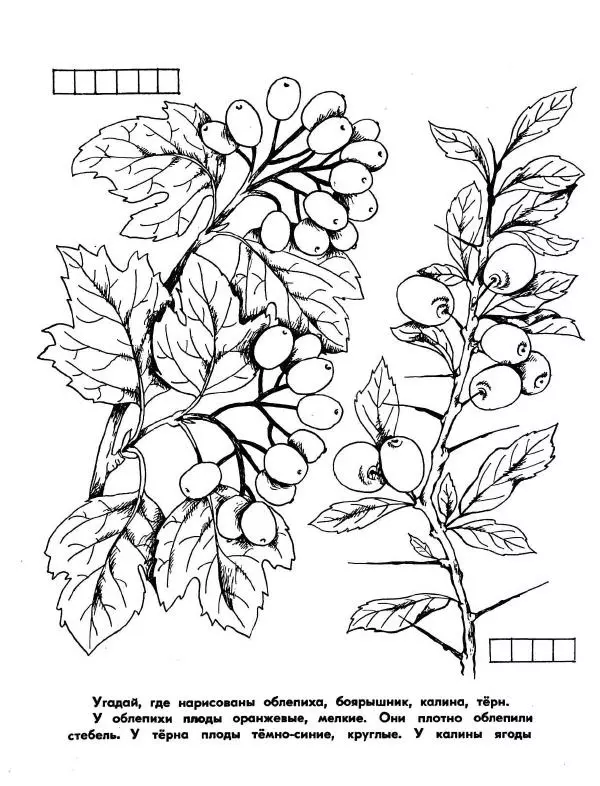 Борис Александров - Где цветёт башмачок? - Страница № 10