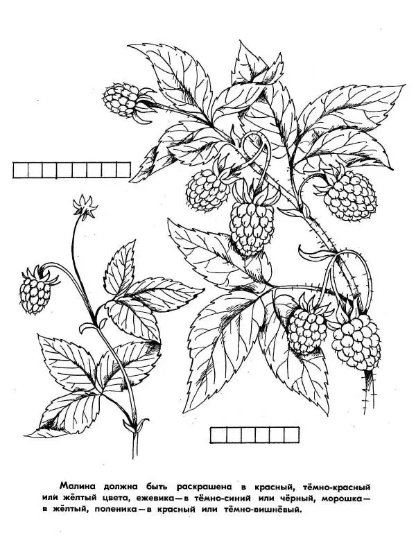 Борис Александров - Где цветёт башмачок? - Страница № 13