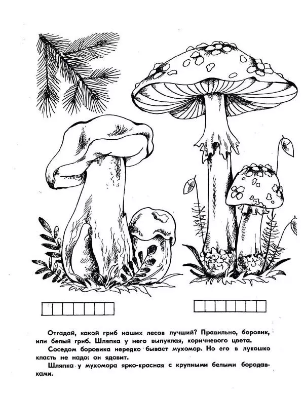 Борис Александров - Где цветёт башмачок? - Страница № 14
