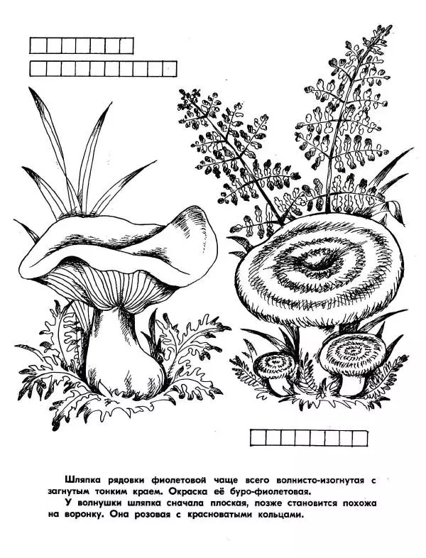 Борис Александров - Где цветёт башмачок? - Страница № 15