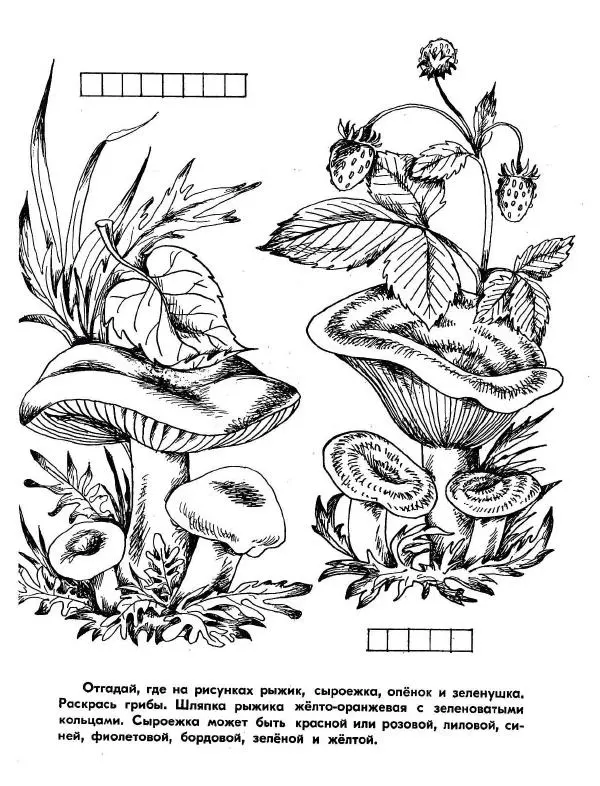 Борис Александров - Где цветёт башмачок? - Страница № 16