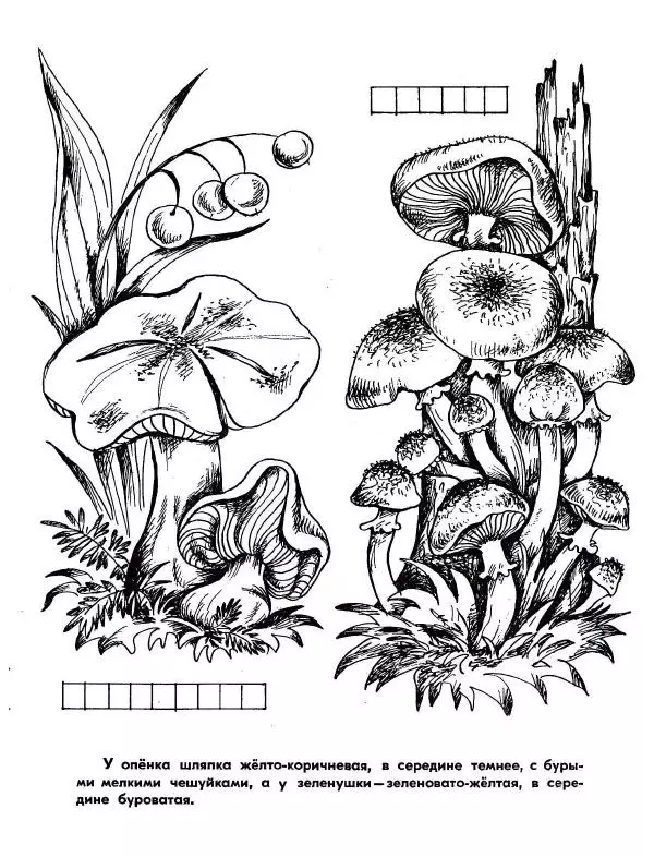 Борис Александров - Где цветёт башмачок? - Страница № 17