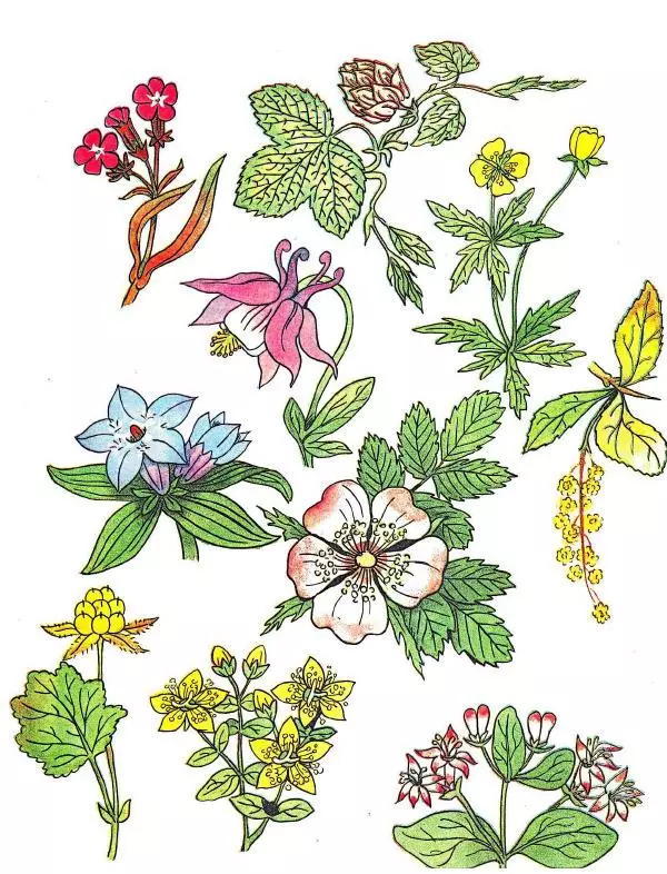 Борис Александров - Где цветёт башмачок? - Страница № 19