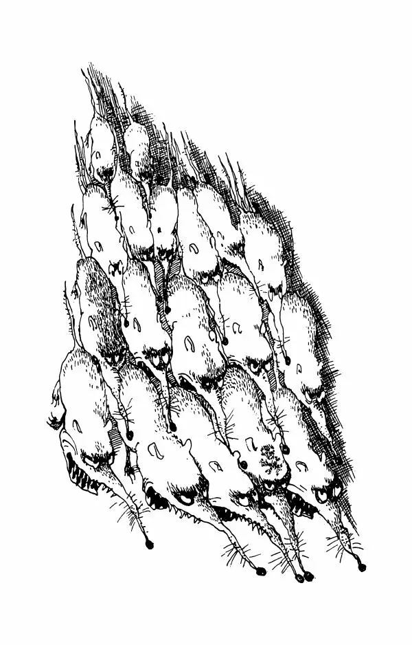 Андрей Белянин - Джек и тайна древнего замка - Страница № 49