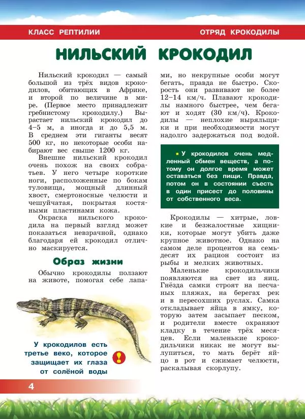 Сергей Рублев - Животные Африки - Страница № 5