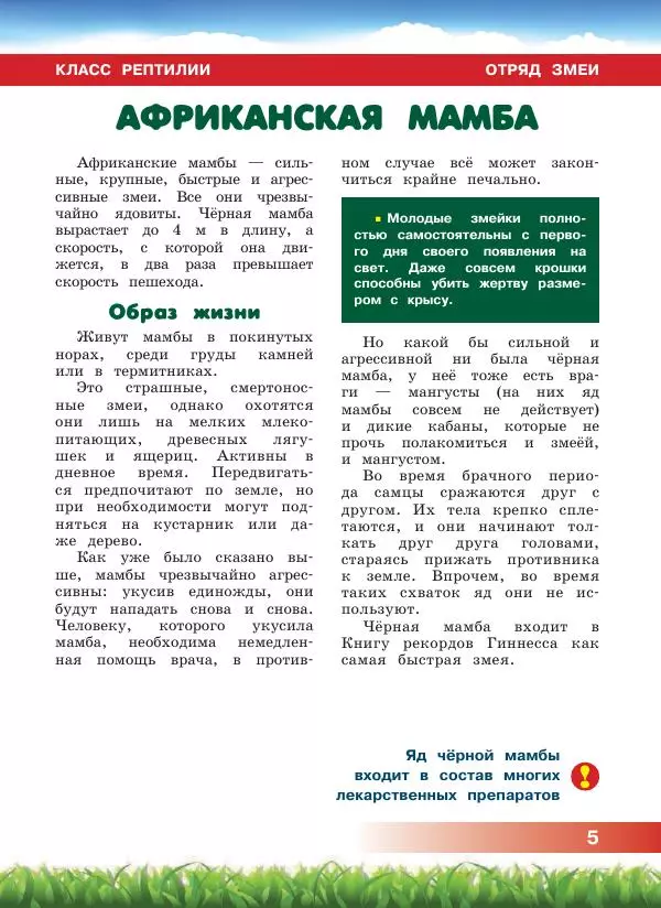 Сергей Рублев - Животные Африки - Страница № 6