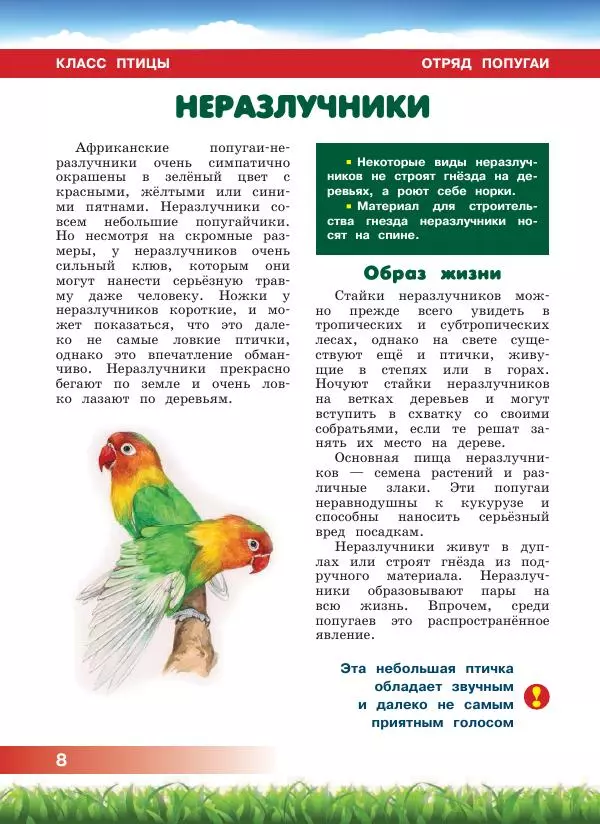 Сергей Рублев - Животные Африки - Страница № 9