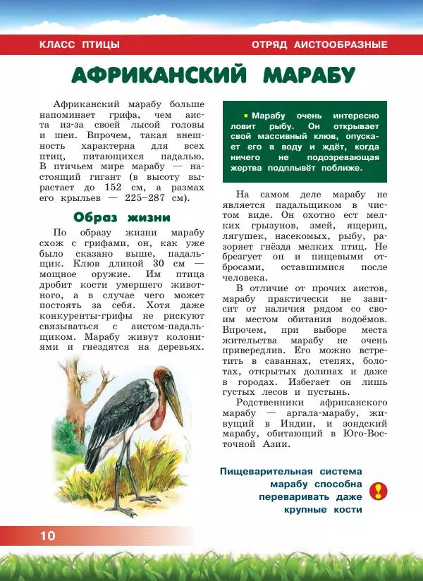 Сергей Рублев - Животные Африки - Страница № 11