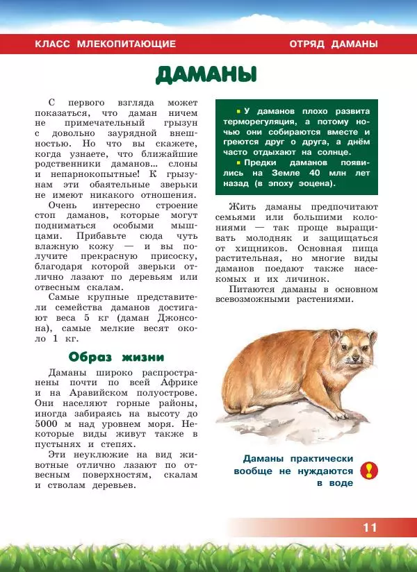 Сергей Рублев - Животные Африки - Страница № 12