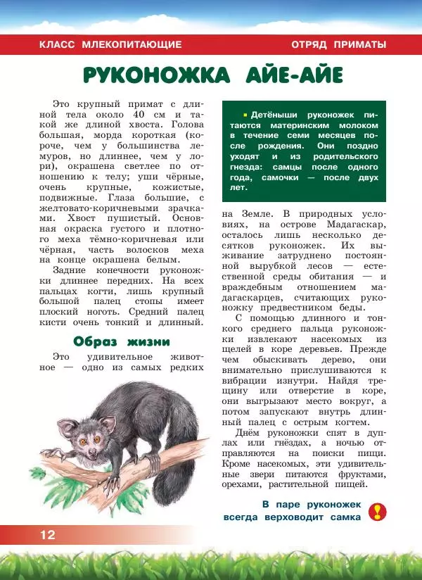 Сергей Рублев - Животные Африки - Страница № 13