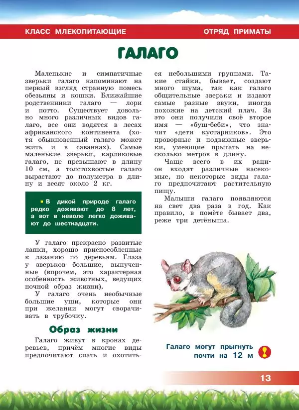 Сергей Рублев - Животные Африки - Страница № 14