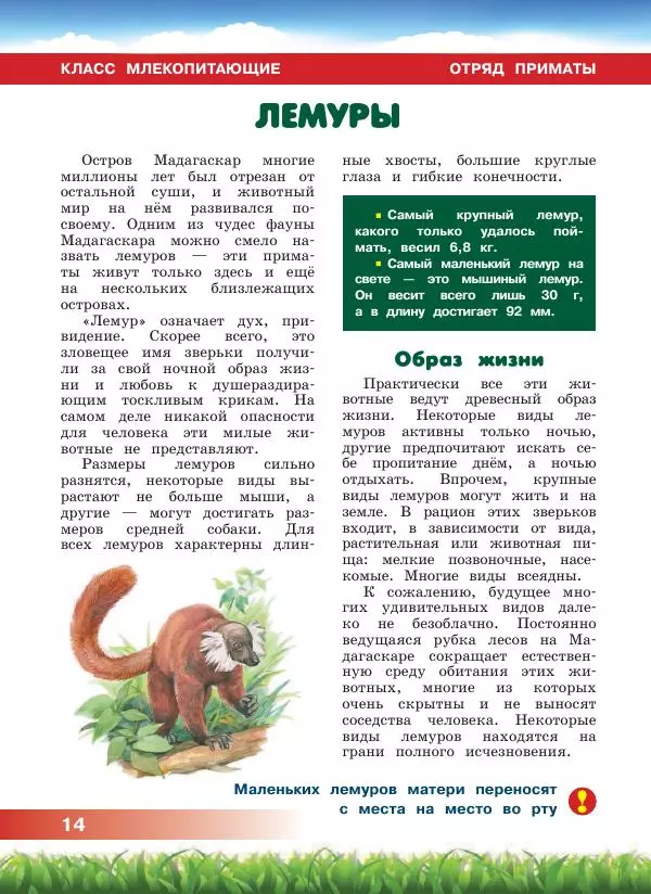 Сергей Рублев - Животные Африки - Страница № 15