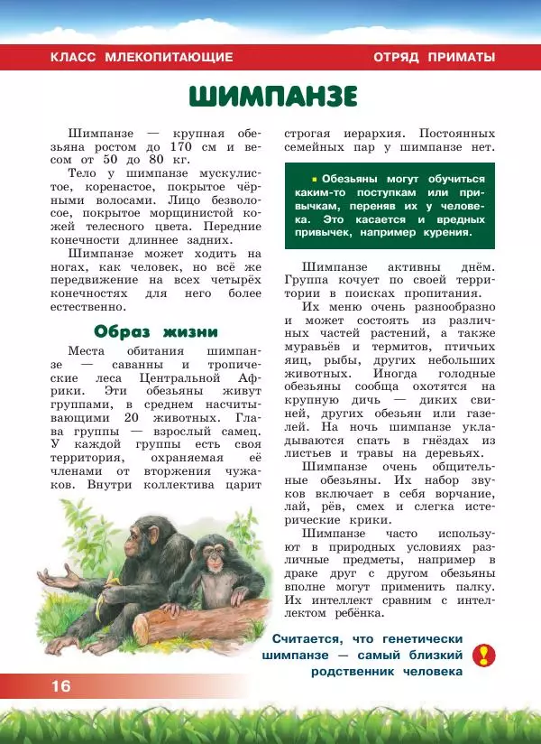 Сергей Рублев - Животные Африки - Страница № 17