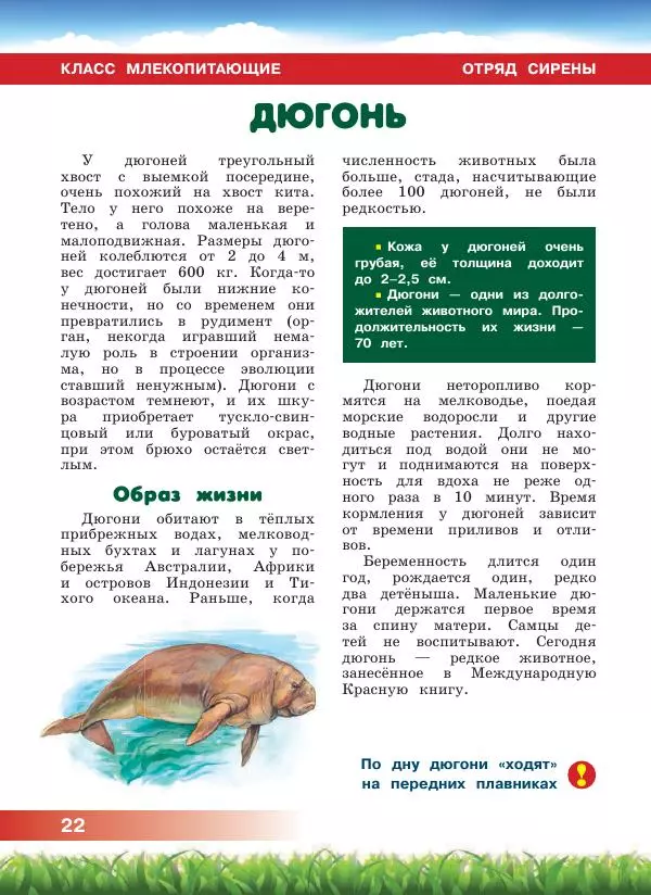 Сергей Рублев - Животные Африки - Страница № 23