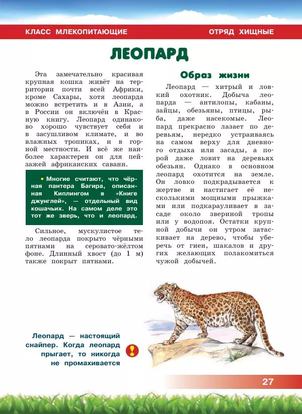 Сергей Рублев - Животные Африки - Страница № 28