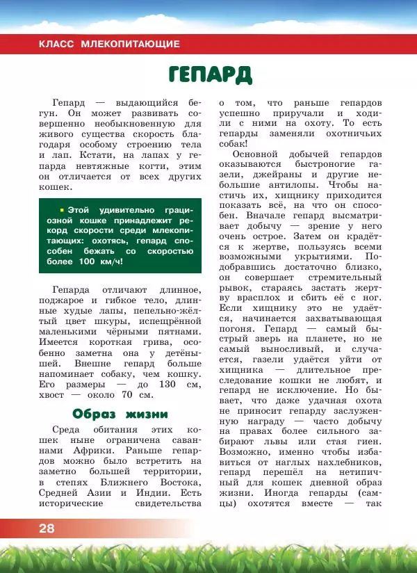 Сергей Рублев - Животные Африки - Страница № 29