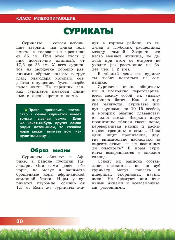 Сергей Рублев - Животные Африки - Страница № 31