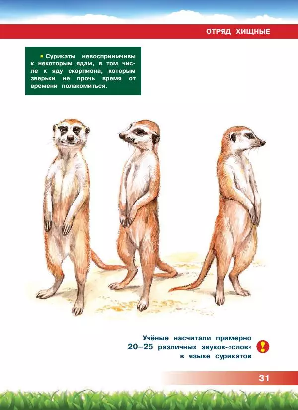 Сергей Рублев - Животные Африки - Страница № 32