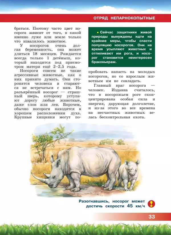 Сергей Рублев - Животные Африки - Страница № 34