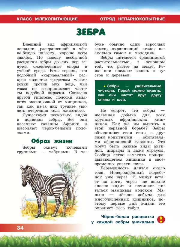 Сергей Рублев - Животные Африки - Страница № 35