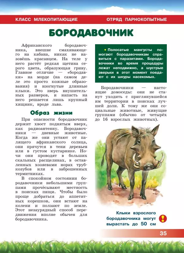 Сергей Рублев - Животные Африки - Страница № 36