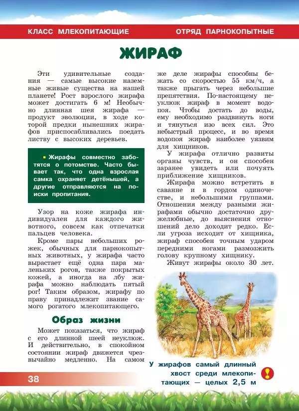 Сергей Рублев - Животные Африки - Страница № 39