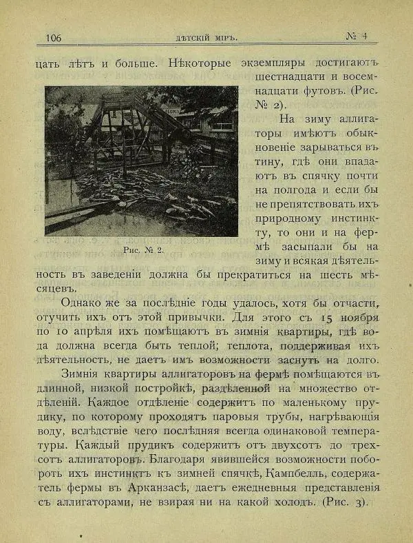  альманах «Детский мир» - Детский мир 1909 №4 - Страница № 20