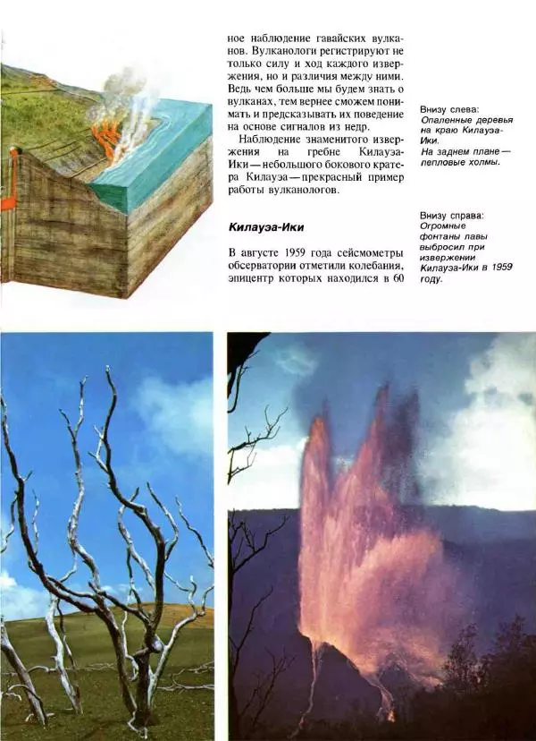 Эрнст Бауэр - Чудеса Земли - Страница № 29