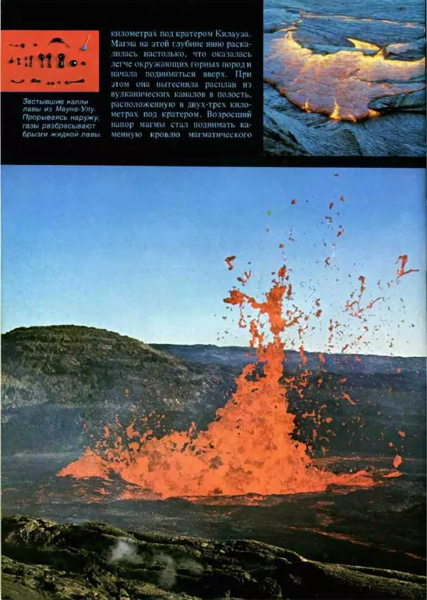 Эрнст Бауэр - Чудеса Земли - Страница № 30