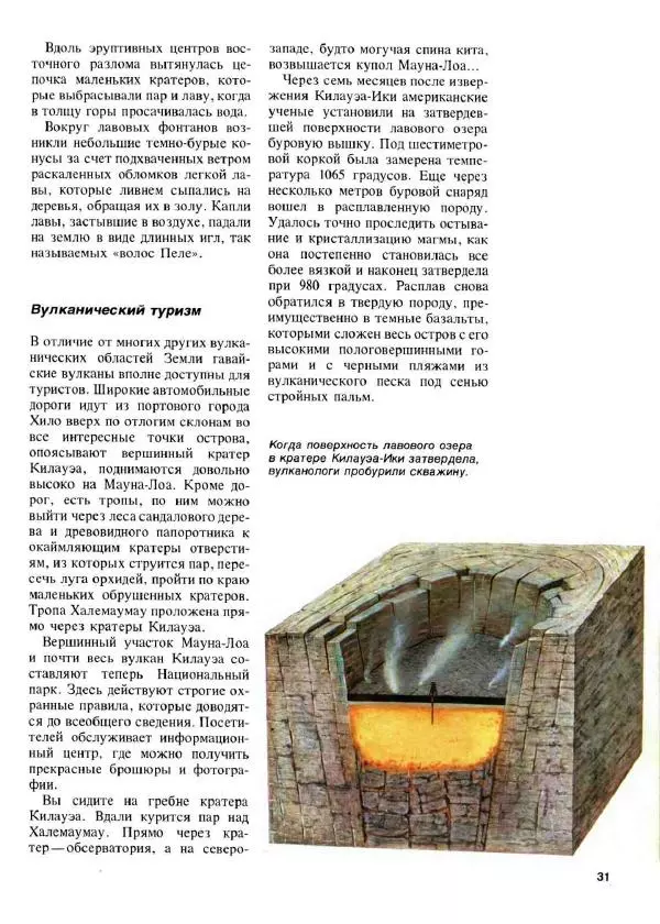 Эрнст Бауэр - Чудеса Земли - Страница № 33