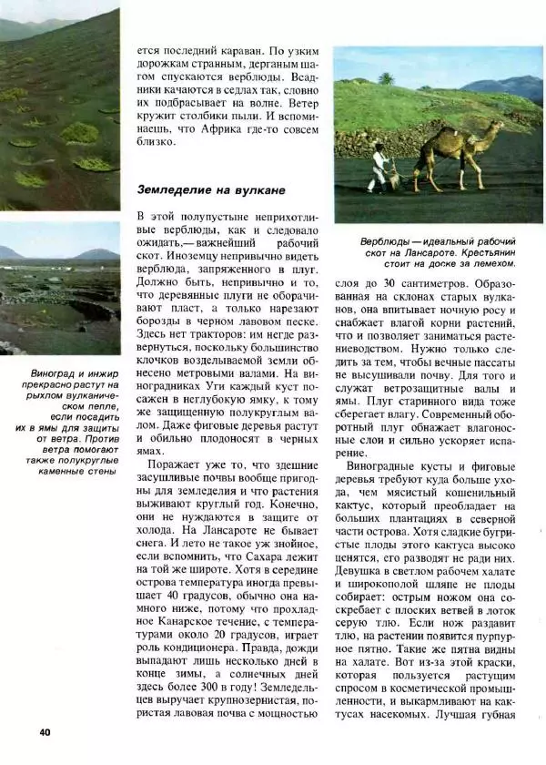 Эрнст Бауэр - Чудеса Земли - Страница № 42
