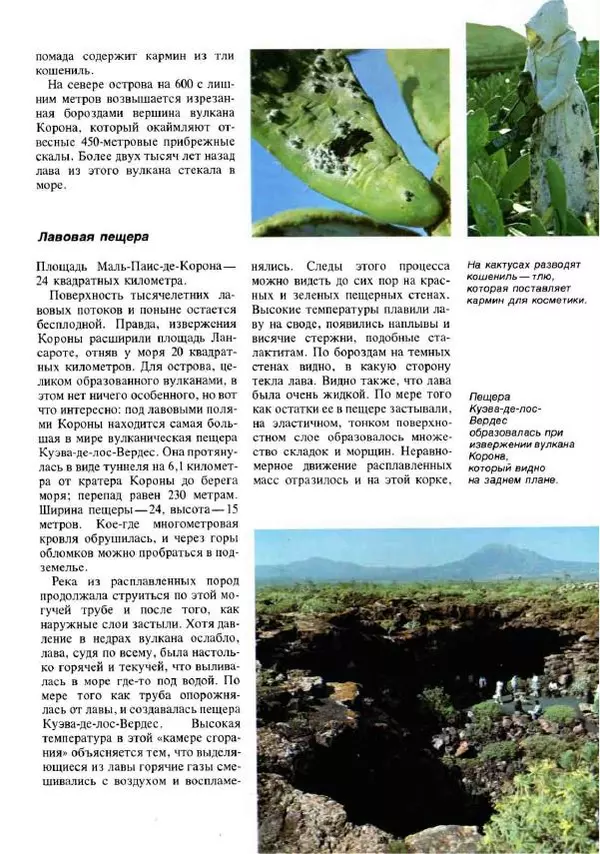 Эрнст Бауэр - Чудеса Земли - Страница № 43