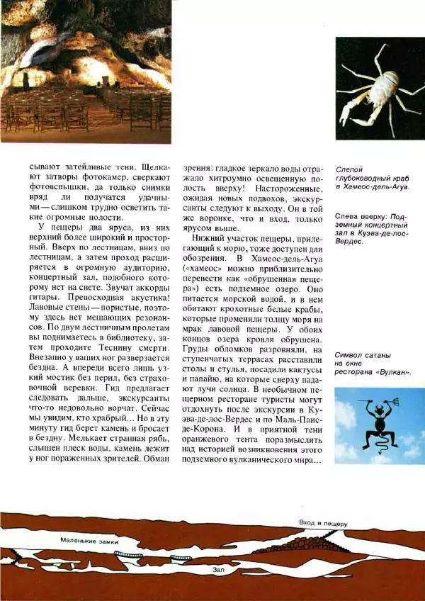 Эрнст Бауэр - Чудеса Земли - Страница № 45
