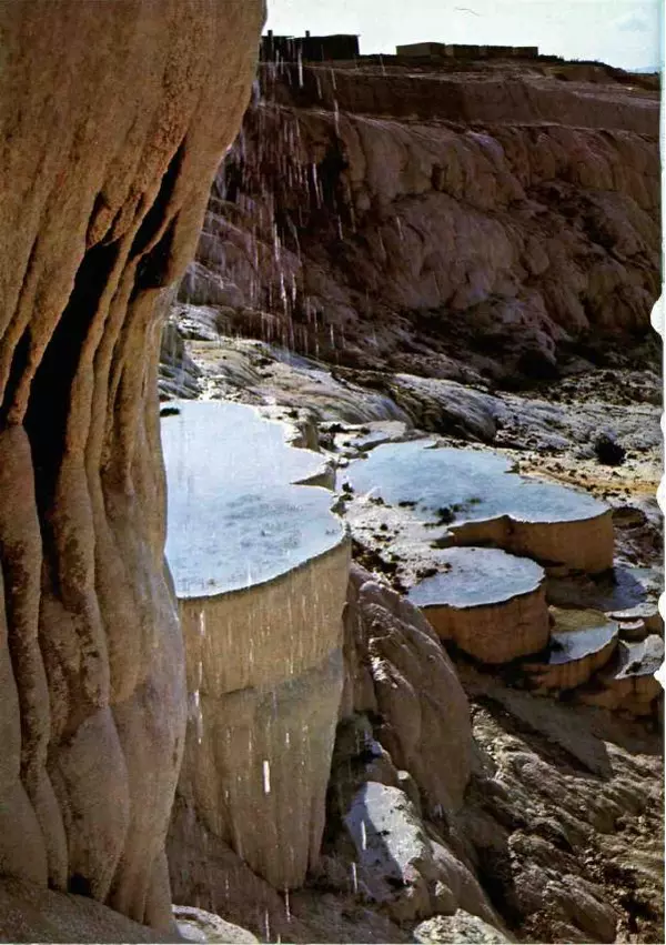 Эрнст Бауэр - Чудеса Земли - Страница № 74