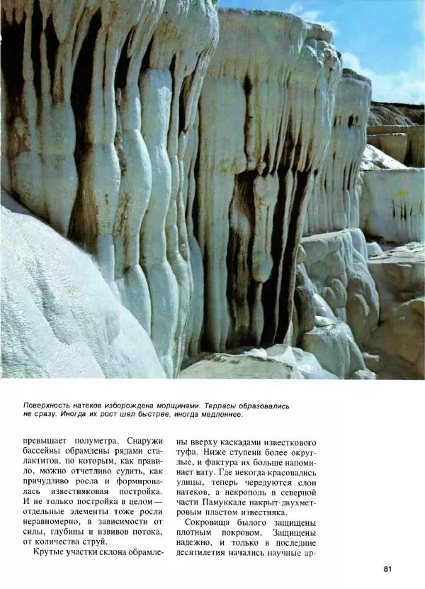 Эрнст Бауэр - Чудеса Земли - Страница № 83