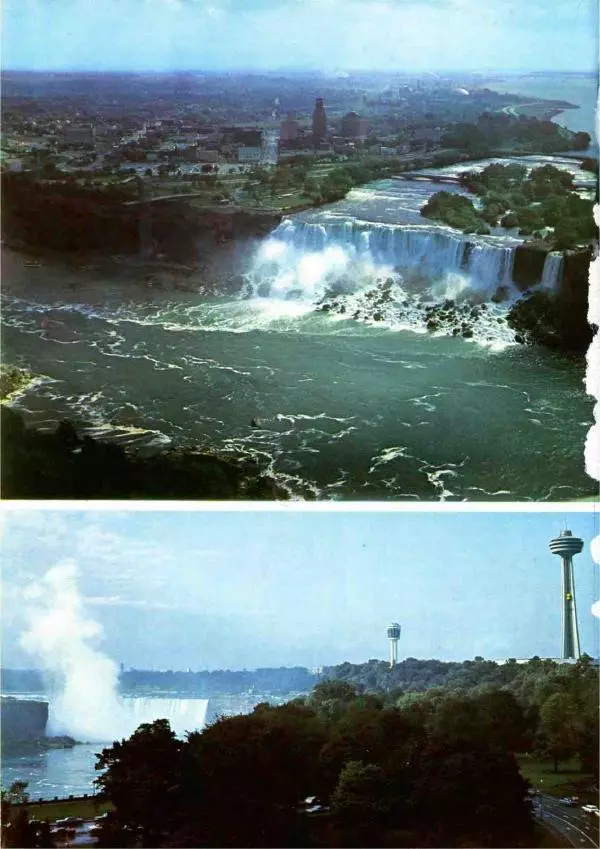 Эрнст Бауэр - Чудеса Земли - Страница № 90