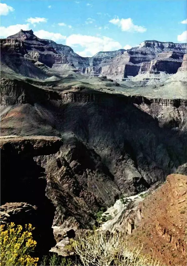 Эрнст Бауэр - Чудеса Земли - Страница № 94