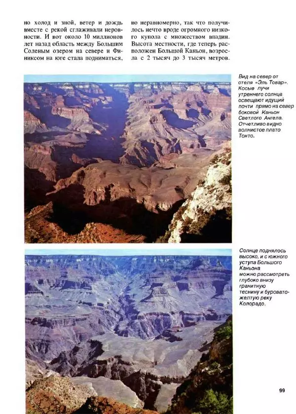 Эрнст Бауэр - Чудеса Земли - Страница № 101