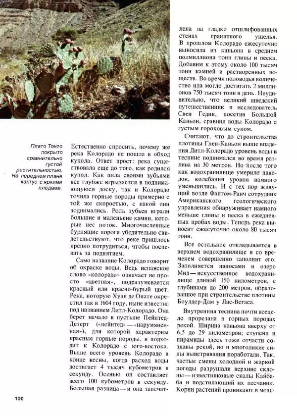 Эрнст Бауэр - Чудеса Земли - Страница № 102
