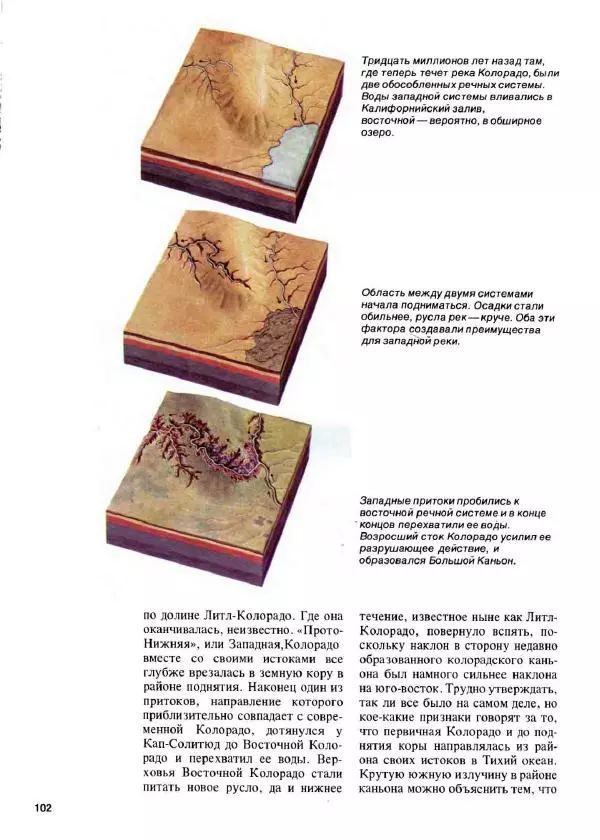Эрнст Бауэр - Чудеса Земли - Страница № 104