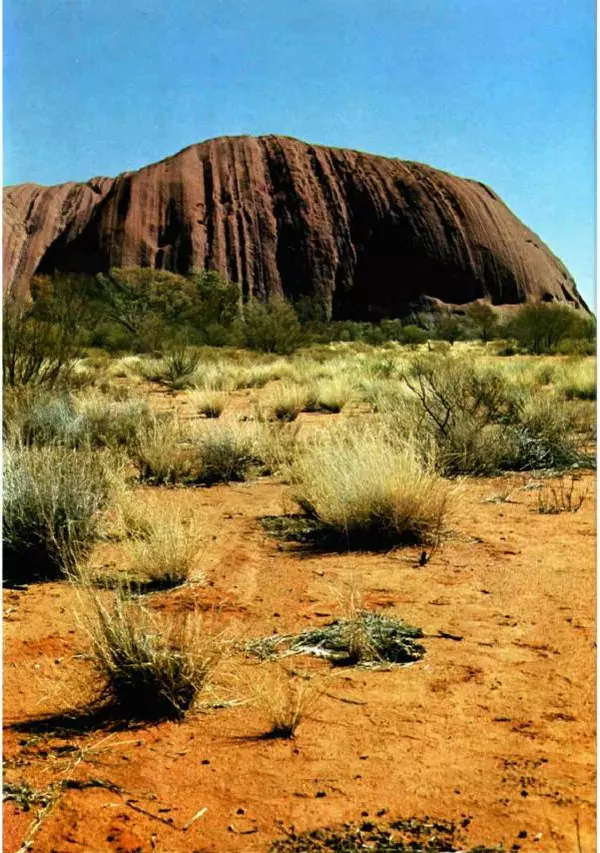 Эрнст Бауэр - Чудеса Земли - Страница № 116