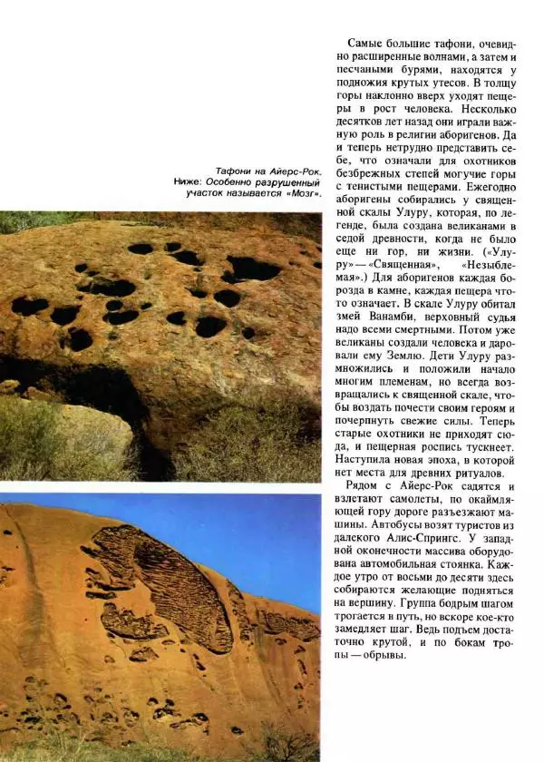 Эрнст Бауэр - Чудеса Земли - Страница № 124