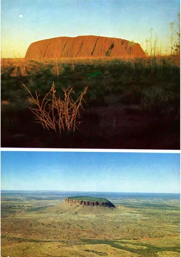 Эрнст Бауэр - Чудеса Земли - Страница № 126