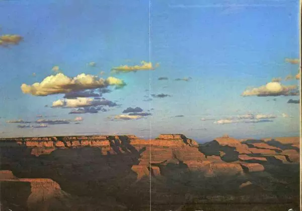 Эрнст Бауэр - Чудеса Земли - Страница № 132