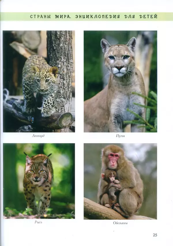  - Энциклопедия для детей. США - Страница № 26