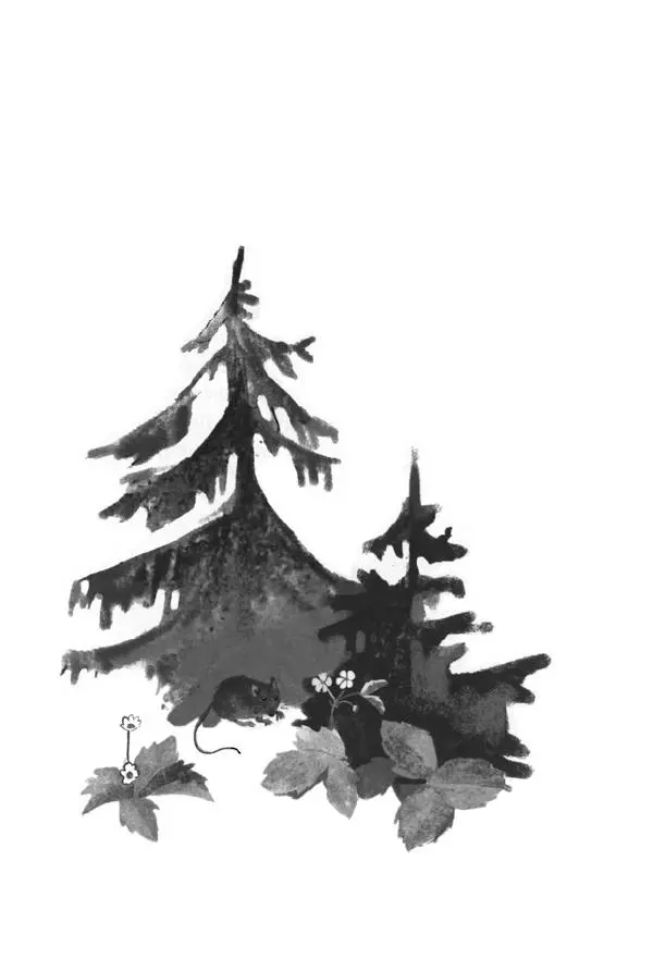 Екатерина Шелеметьева - Таёжная сказка - Страница № 93