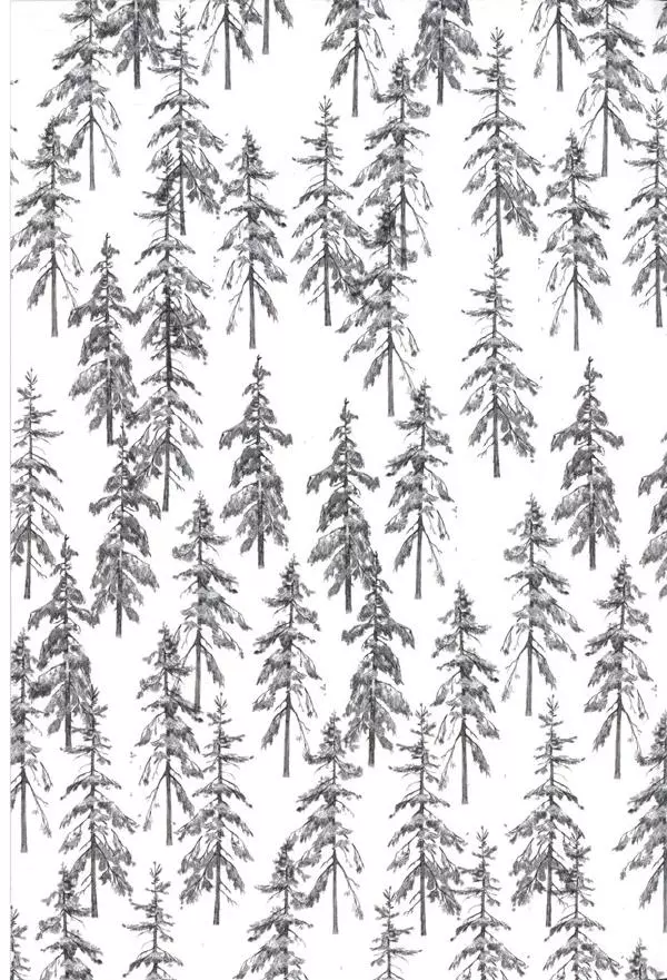 Екатерина Шелеметьева - Таёжная сказка - Страница № 183