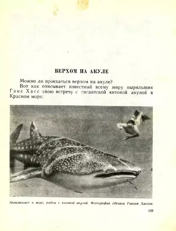 Николай Сладков - Планета чудес - Страница № 109